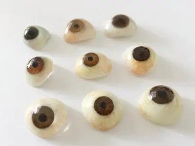 義眼廠(chǎng)家